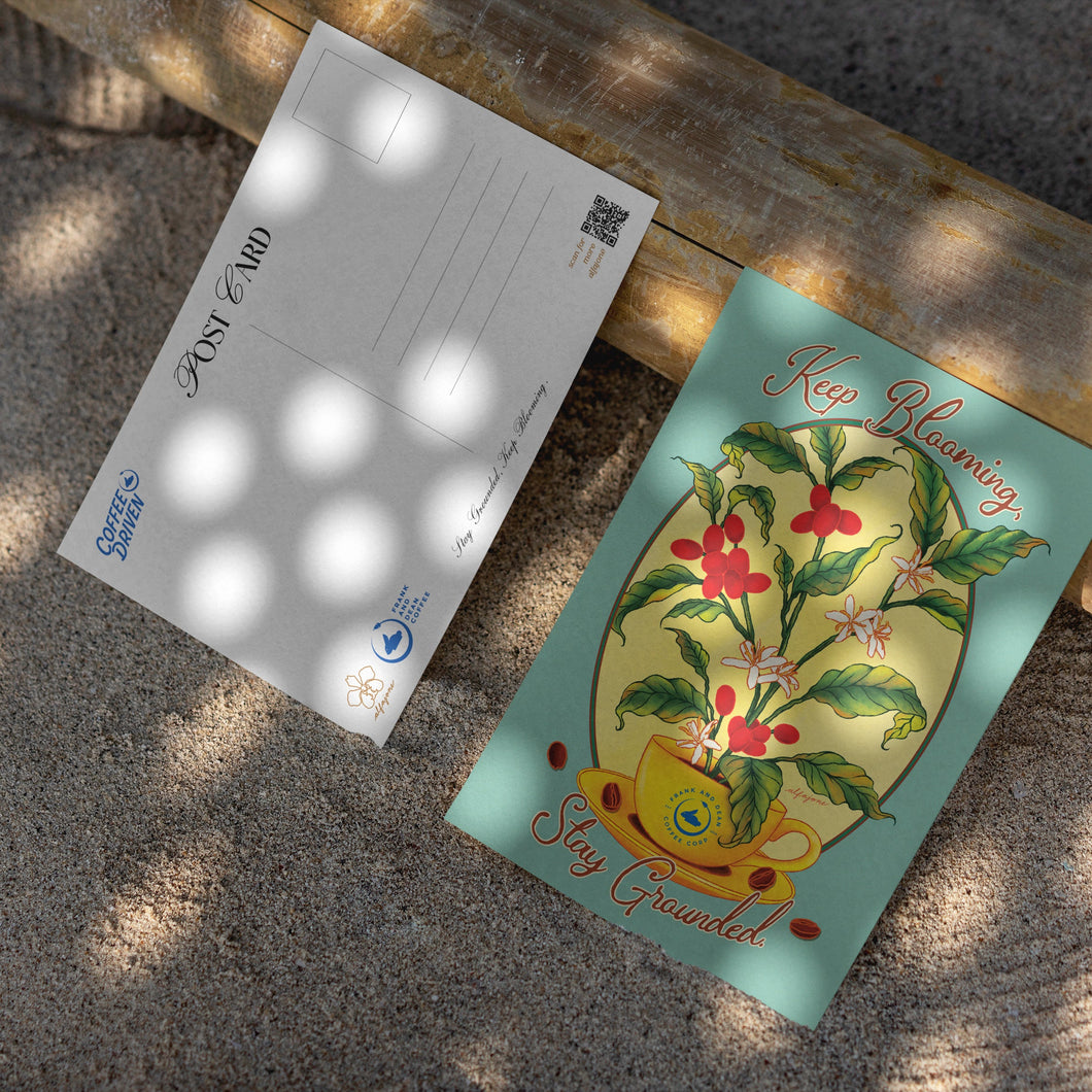 Alfajone: Postcard + Sticker Bundle